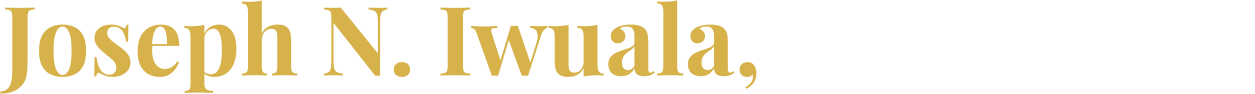 Joseph N. Iwuala, PhD., CPA, FCA